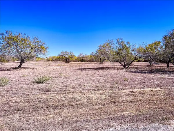 Lot 10 Fm 3376, Alice, TX 78332