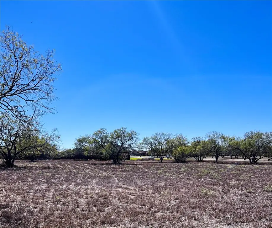 Lot 11 Fm 3376, Alice, TX 78332 - Image #1