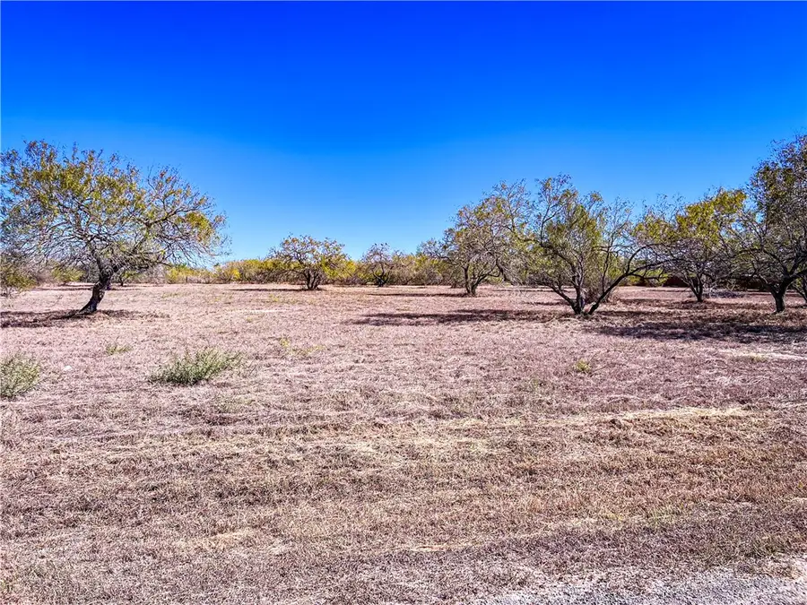 Lot 11 Fm 3376, Alice, TX 78332 - Image #2