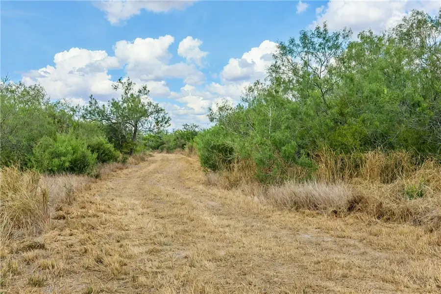 TBD S Hwy 281, Alice Acres, TX 78342 - Image #3
