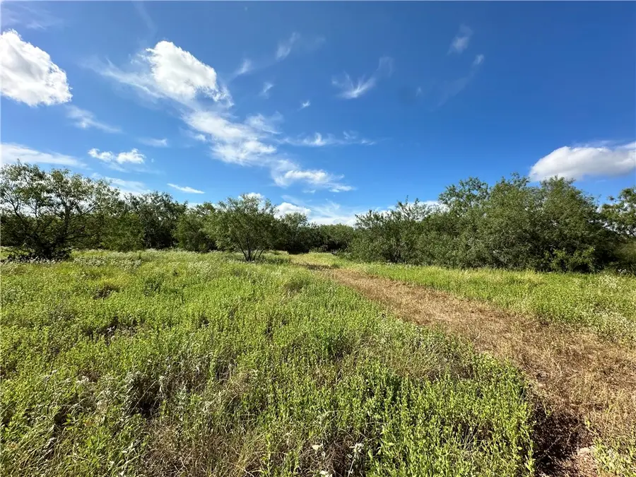 0000 Fm 534, Sandia, TX 78383 - Image #2