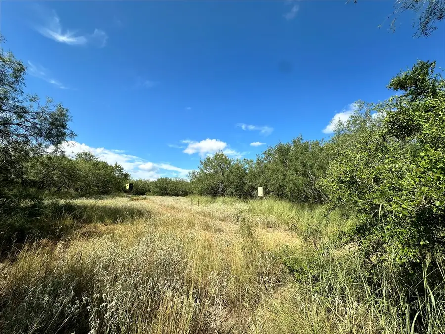 0000 Fm 534, Sandia, TX 78383 - Image #3