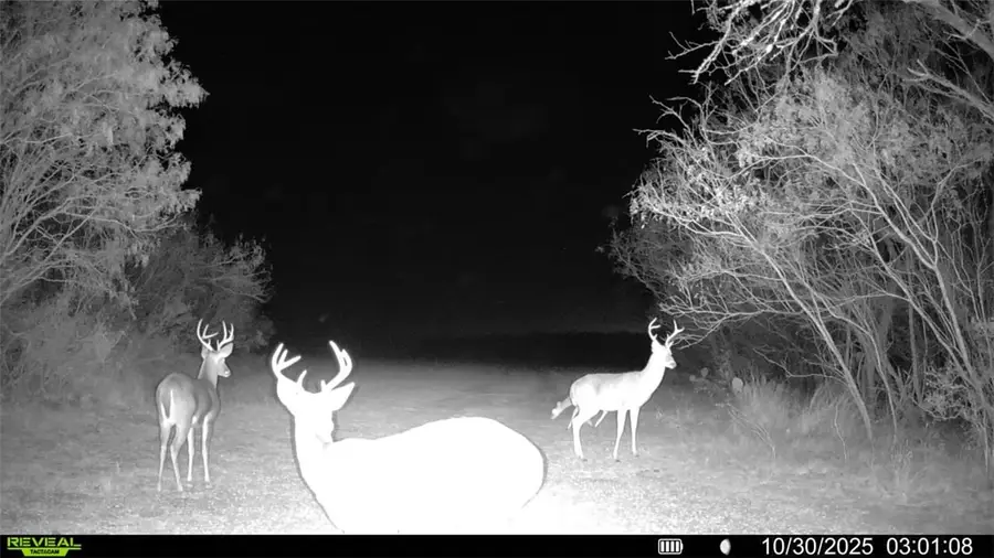 0 County Road 215, McCoy, TX 78113 - Image #2