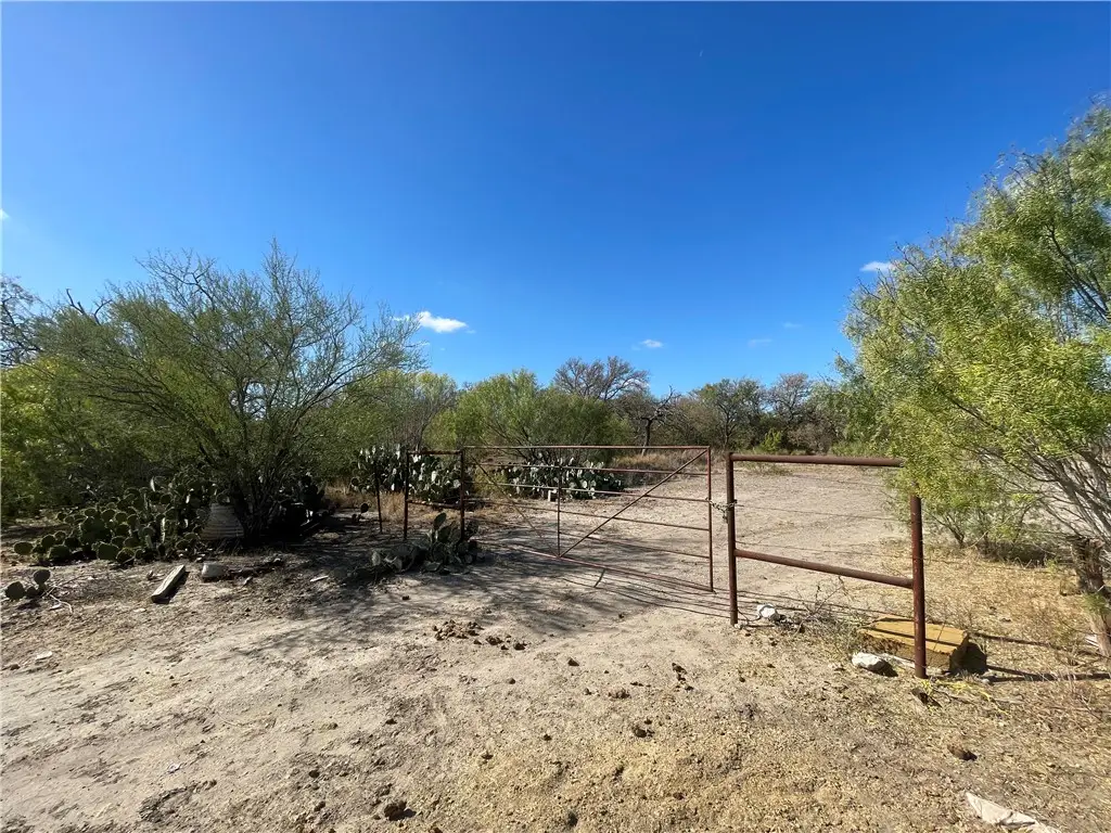 10 acres Cr 421, Christine, TX 78012 - Image #1