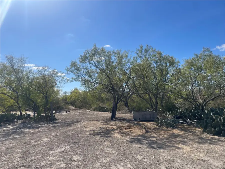10 acres Cr 421, Christine, TX 78012 - Image #2