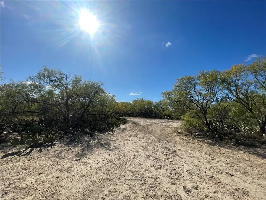 10 acres Cr 421, Christine, TX 78012 - Image #3