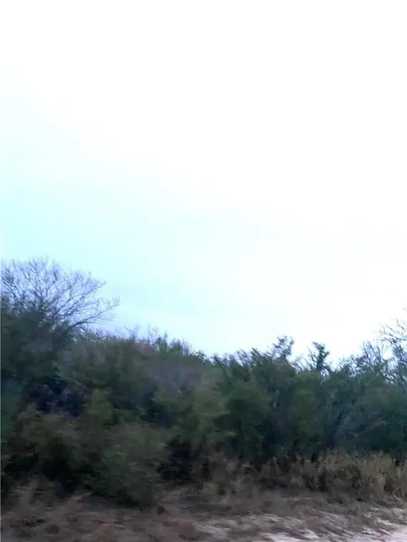 0 Fm 1329, San Diego, TX 78384