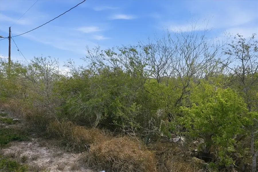 00 Huajilla Bend Rd, Sandia, TX 78383 - Image #2