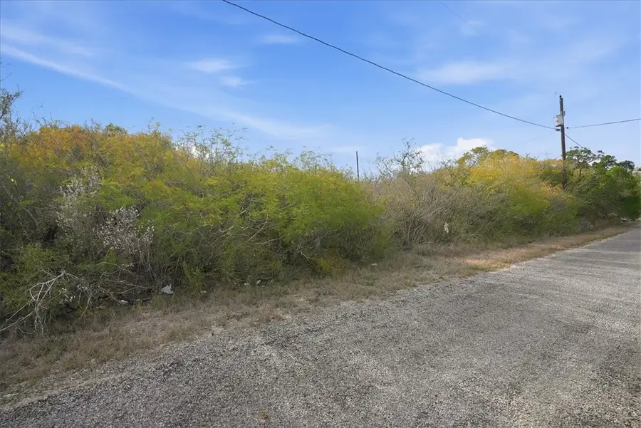 00 Huajilla Bend Rd, Sandia, TX 78383 - Image #3