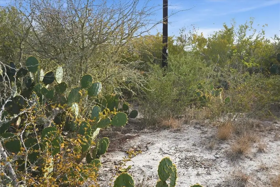 00 Ranger Dr, Sandia, TX 78383 - Image #2