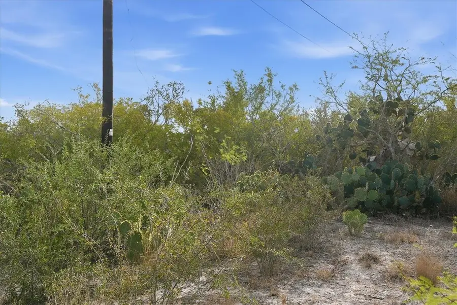 00 Ranger Dr, Sandia, TX 78383 - Image #3