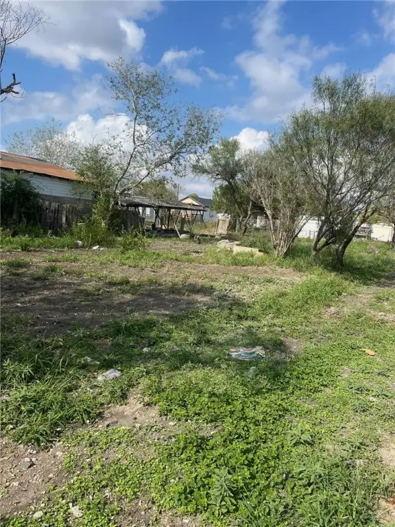 1201 Dakota Street, Robstown, TX 78380 - Image #3