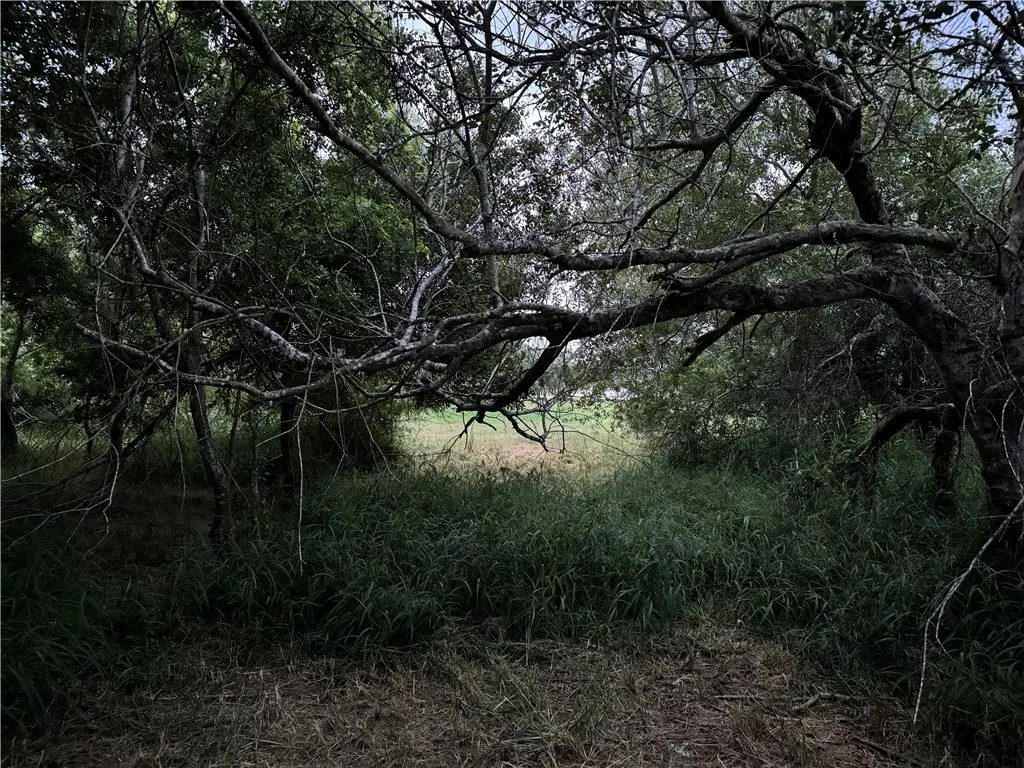 905 Santa Cruz Lane, Corpus Christi, TX 78415 - Image #1