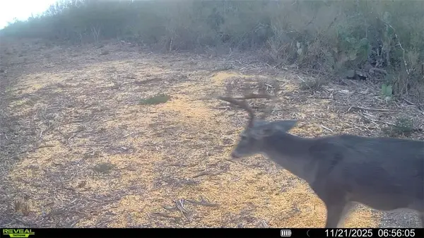 0 Cameron Ln, Fowlerton, TX 78021