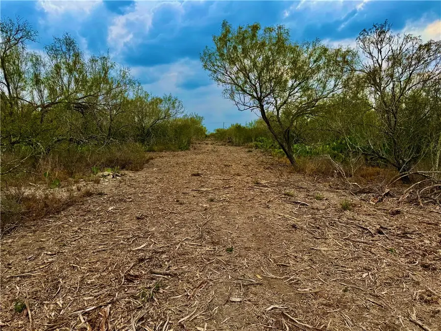 0 Cameron Ln, Fowlerton, TX 78021 - Image #2