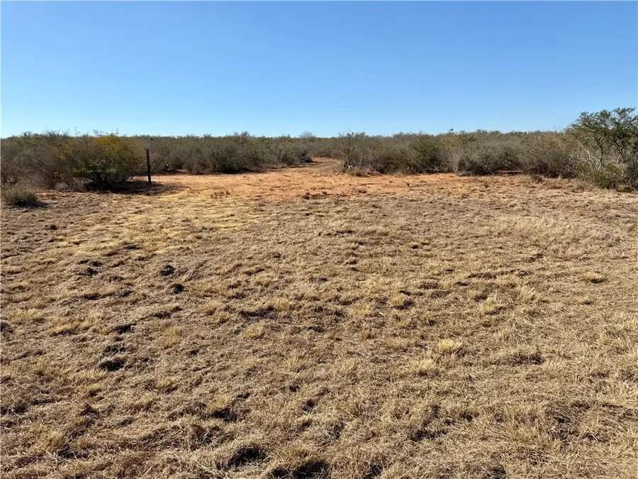 0 County Road 203, San Diego, TX 78344 - Image #3