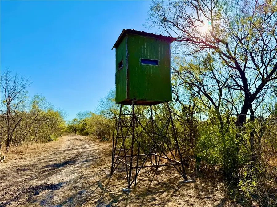 2949 County Road 215, McCoy, TX 78113 - Image #3