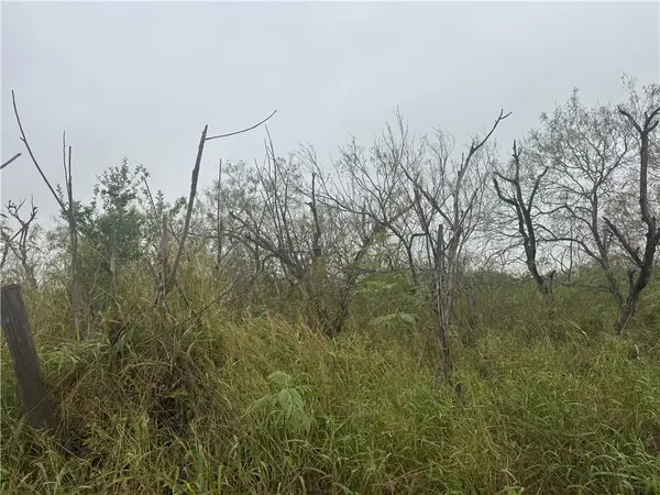 0 County Road 310, Mathis, TX 78368