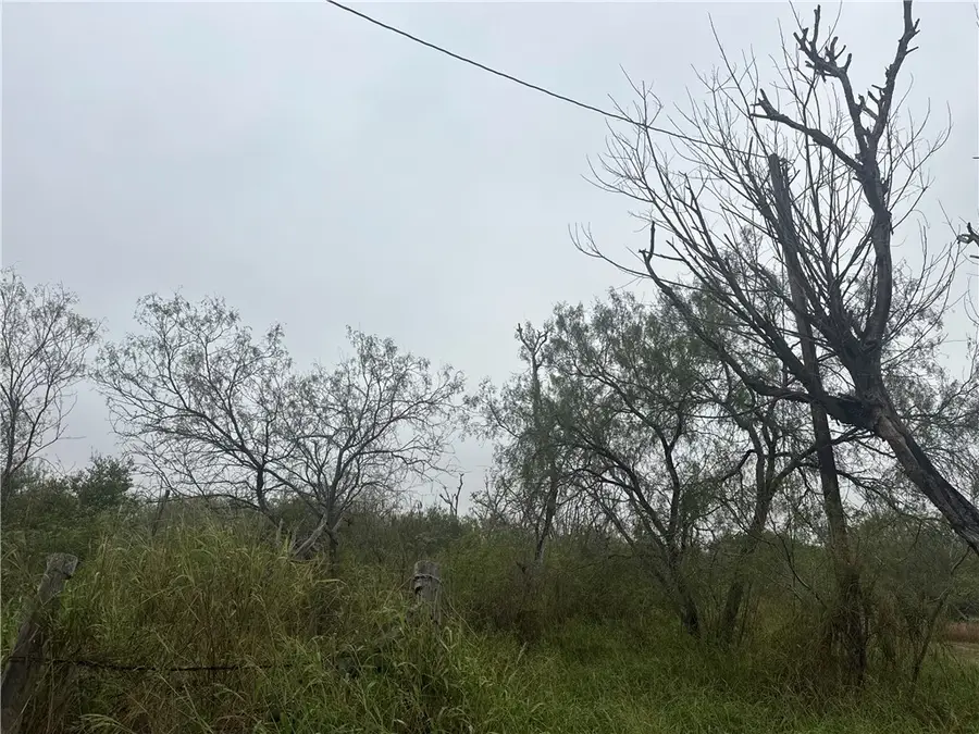 0 County Road 310, Mathis, TX 78368 - Image #2