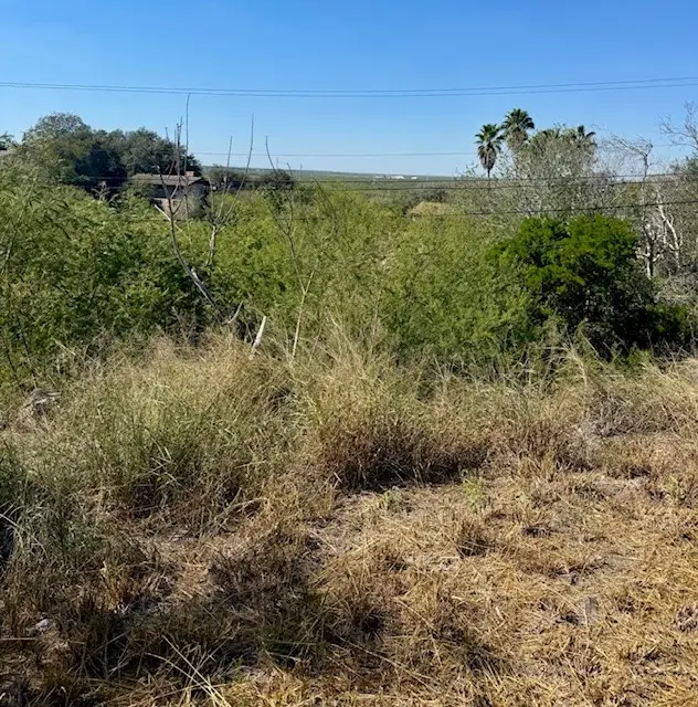 5009 Calallen Drive, Corpus Christi, TX 78410 - Image #3