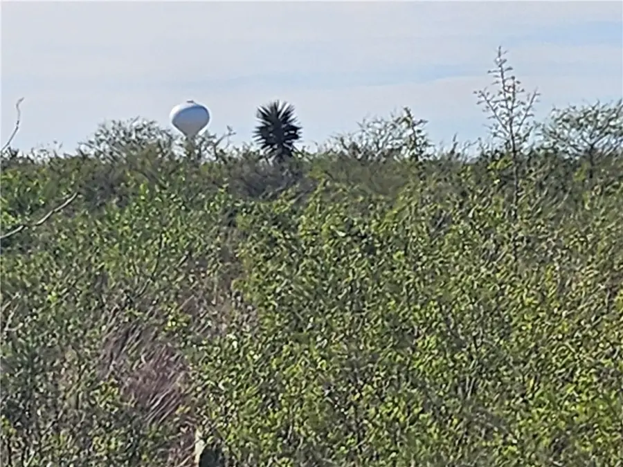 11 County Road 1431, Ben Bolt, TX 78384 - Image #2