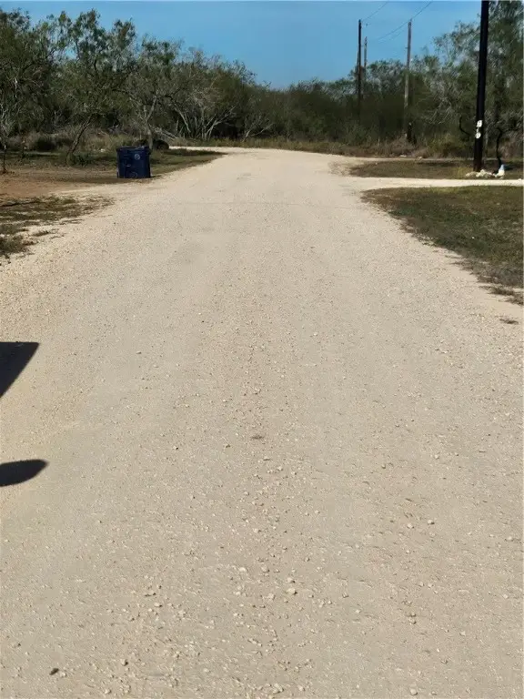 11 County Road 1431, Ben Bolt, TX 78384 - Image #3