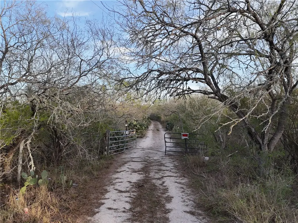 4043 County Road 308, Orange Grove, TX 78372 - #1