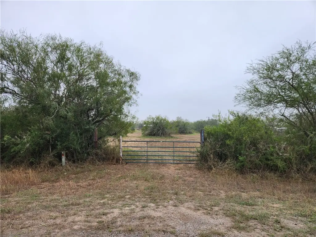 1888 Cr 440, Ben Bolt, TX 78342 - #1