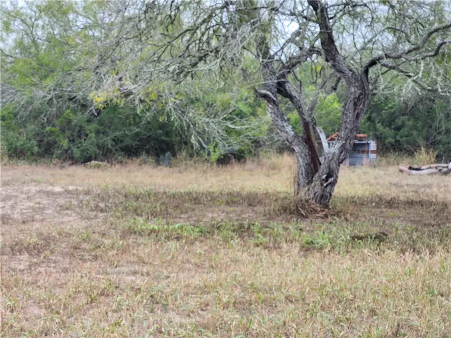 1888 Cr 440, Ben Bolt, TX 78342 - #2