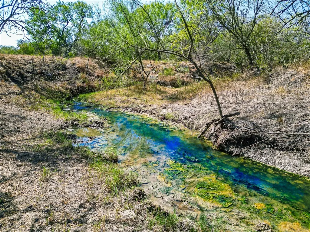 3189-3251 County Road 407, Falls City, TX 78113 - Image #1