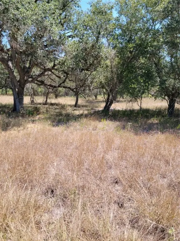 12 Post Oak Road, Inez, TX 77968 - Image #2