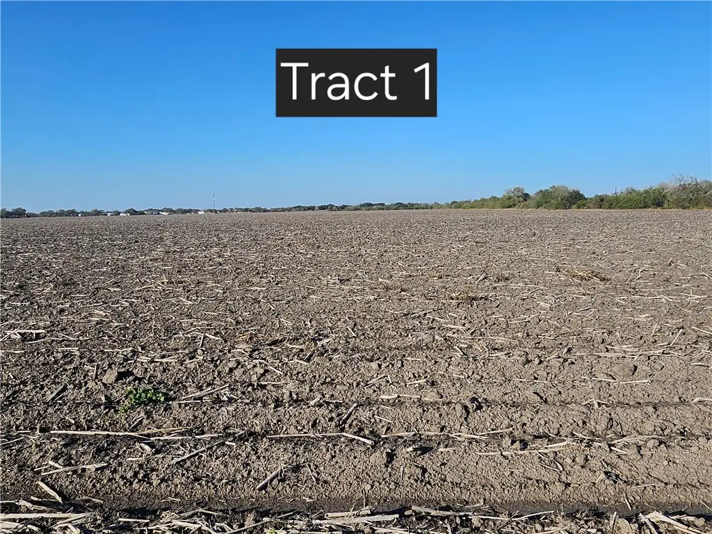 Tract 1 W Escondido Road, Kingsville, TX 78363 - Image #1