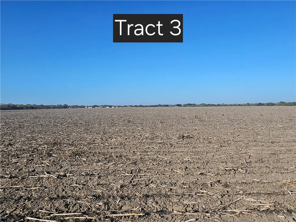 Tract 3 W Escondido Road, Kingsville, TX 78363 - Image #1