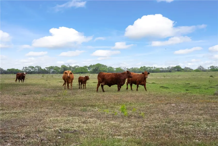 00 North Cr 2140, Kingsville, TX 78363 - #2