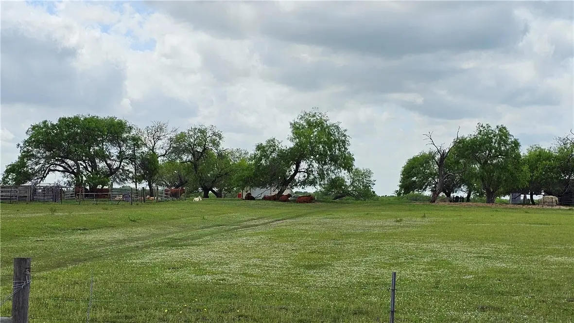 00 E County Road 2140, Kingsville, TX 78363 - Image #1