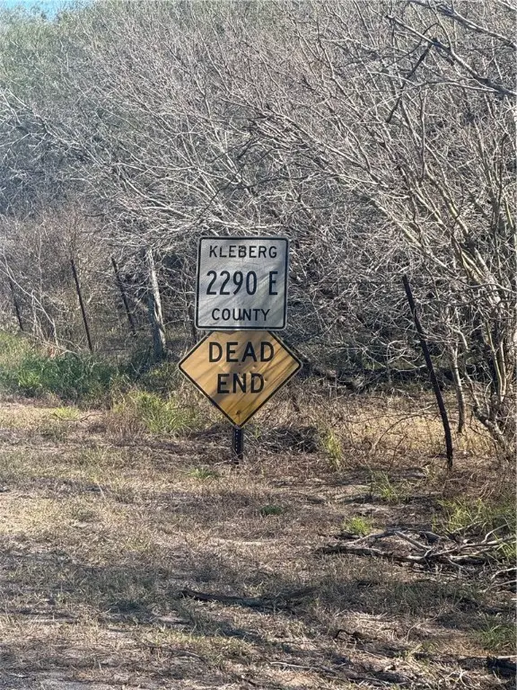 LOT 16 County Road 1110 S, Riviera, TX 78379 - Image #2