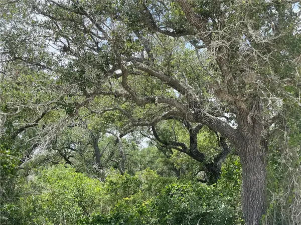 342 Whispering Drive, Rockport, TX 78382