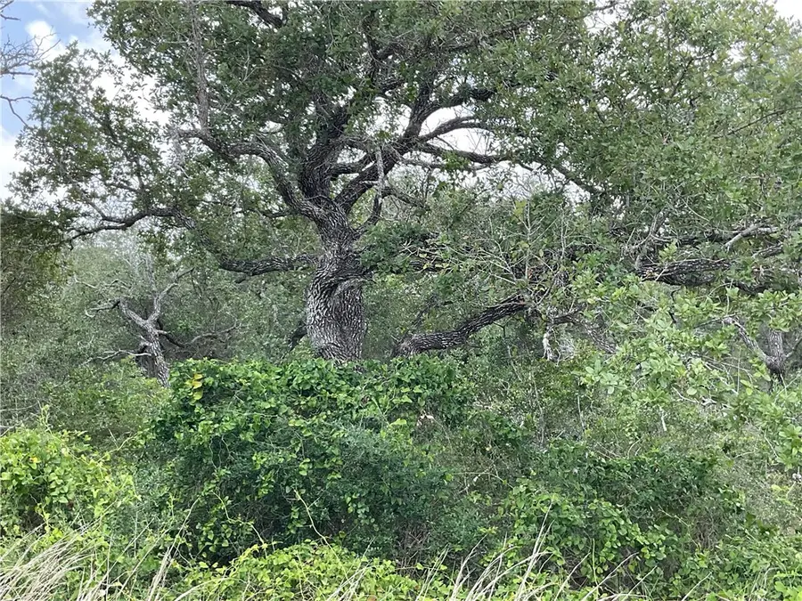 342 Whispering Drive, Rockport, TX 78382 - Image #2