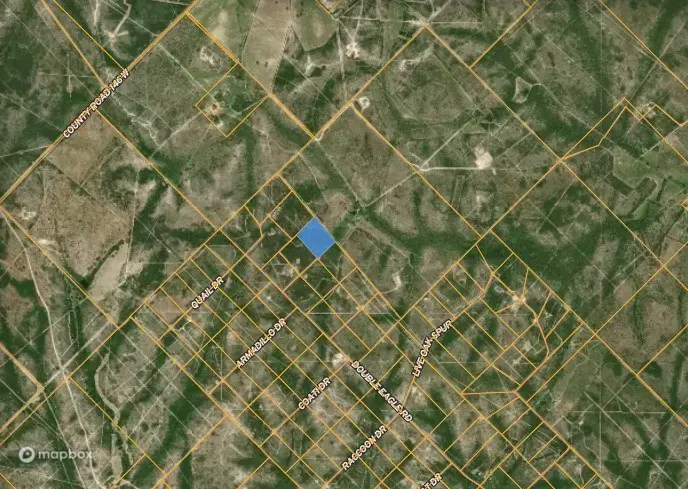 00 Blackbrush Spur, George West, TX 78022 - Image #2