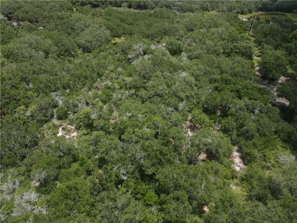 1738 Morgan, Ingleside, TX 78362 - Image #1