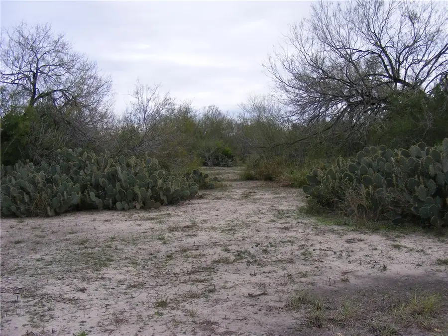 10722 County Road 249, Mathis, TX 78368 - Image #3