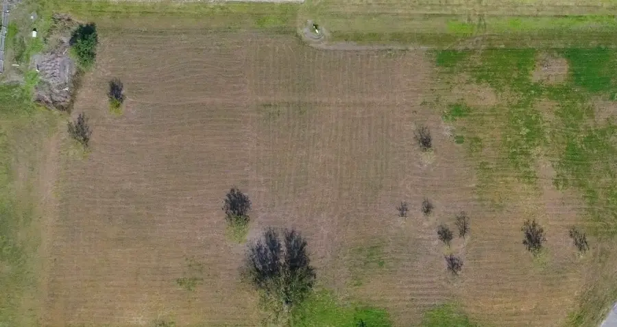 8001 Mt Zion Drive, Corpus Christi, TX 78413 - Image #2