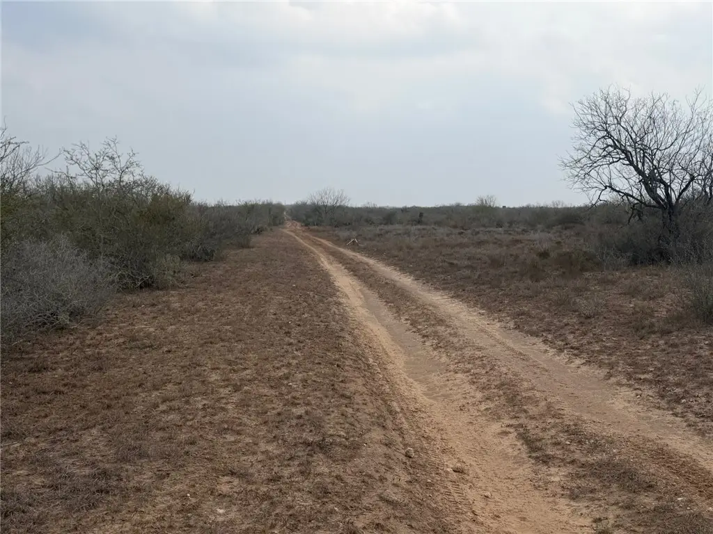 00 Fm 1329, San Diego, TX 78384 - #1