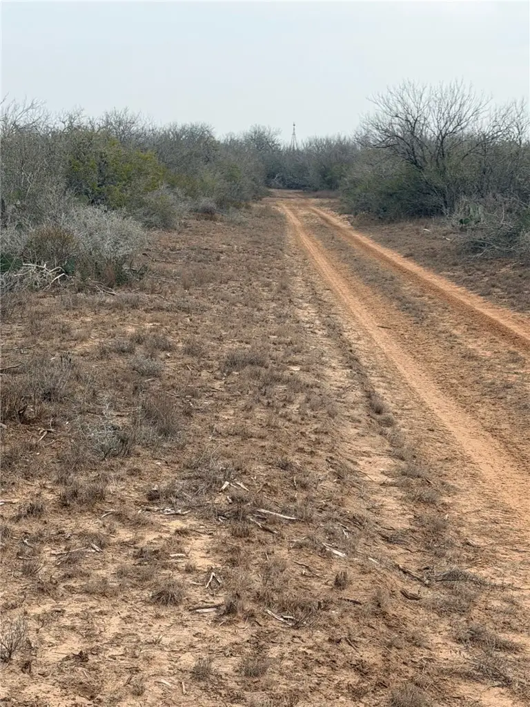 00 Fm 1329, San Diego, TX 78384 - #3