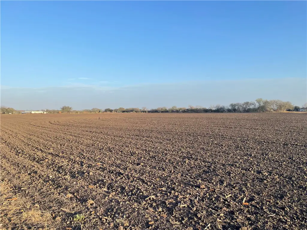 Lot 1 County Road 732, Sinton, TX 78387 - Image #1