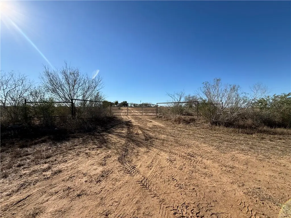 TBA County Road 440, Alice, TX 78332 - Image #1