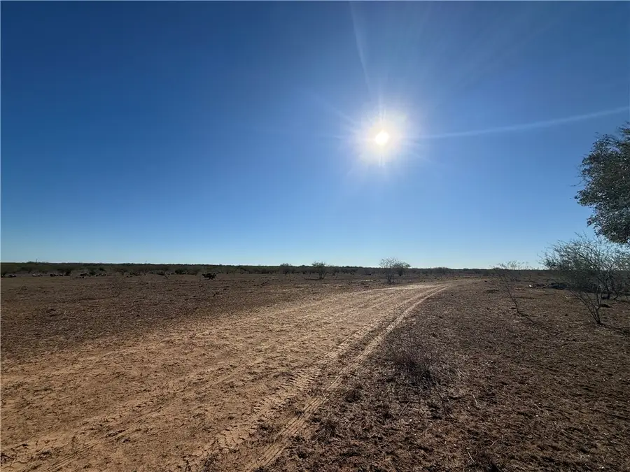 TBA County Road 440, Alice, TX 78332 - Image #3