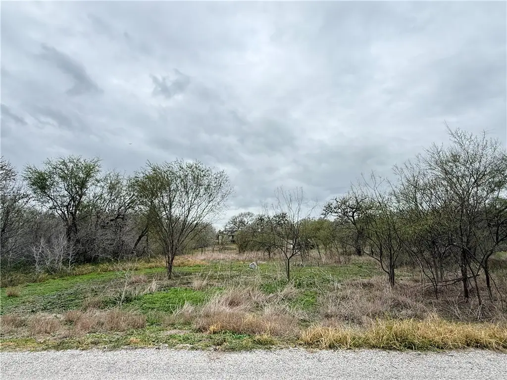 6275 N Sandy Hollow Road, Robstown, TX 78380 - Image #1