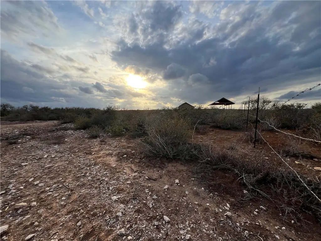 256 Coyote Crossing, San Diego, TX 78384 - Image #1