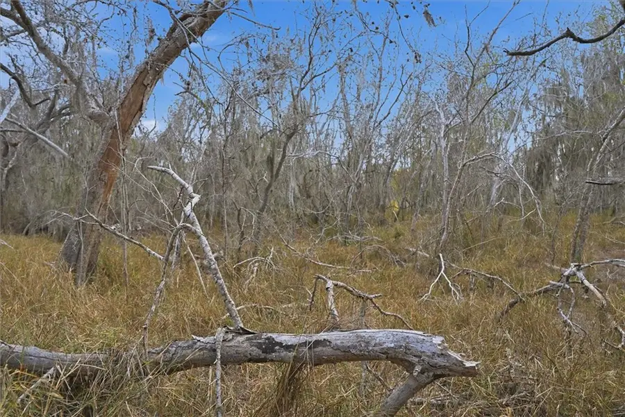 00 County Road 320, George West, TX 78022 - #2